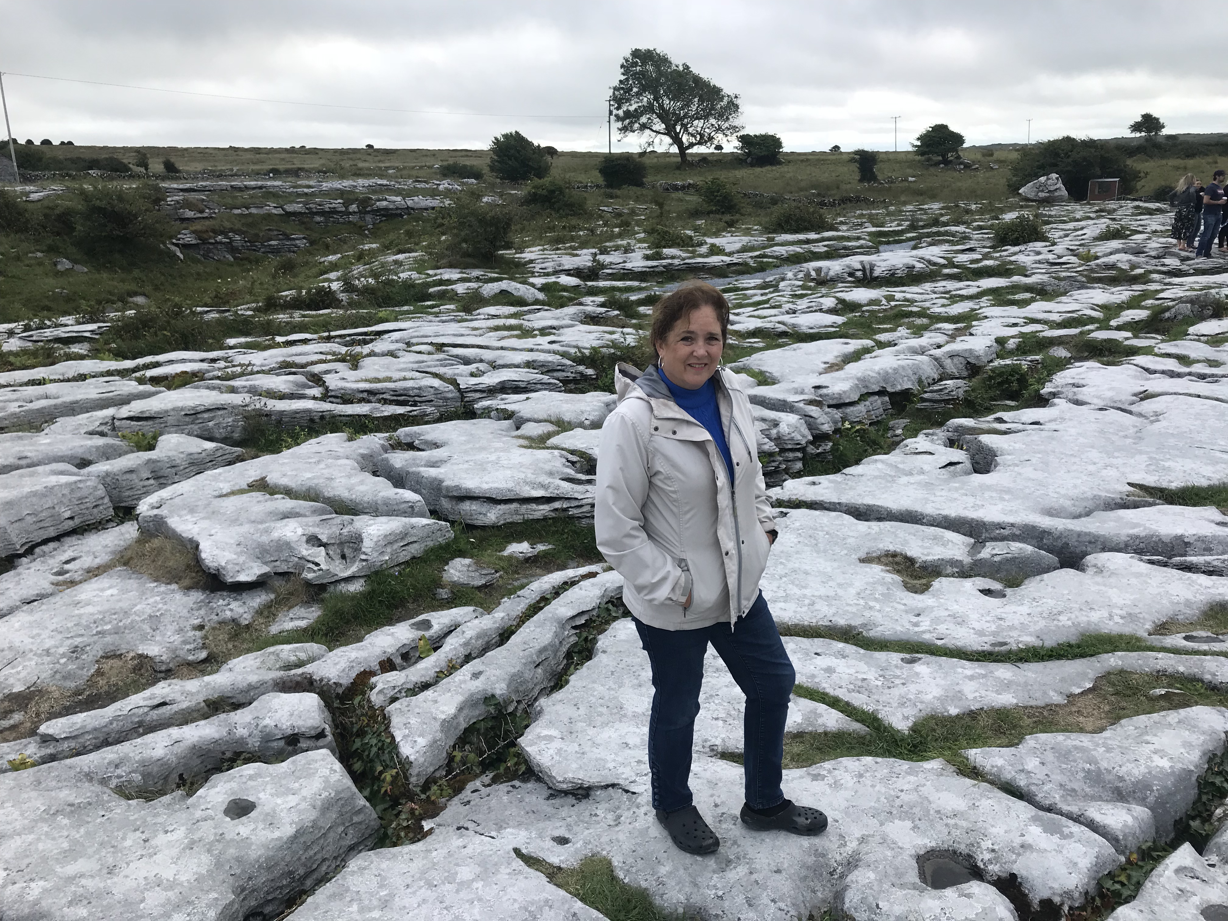 18D46B81-8E2D-4CE1-8BE1-6C38B04D7602