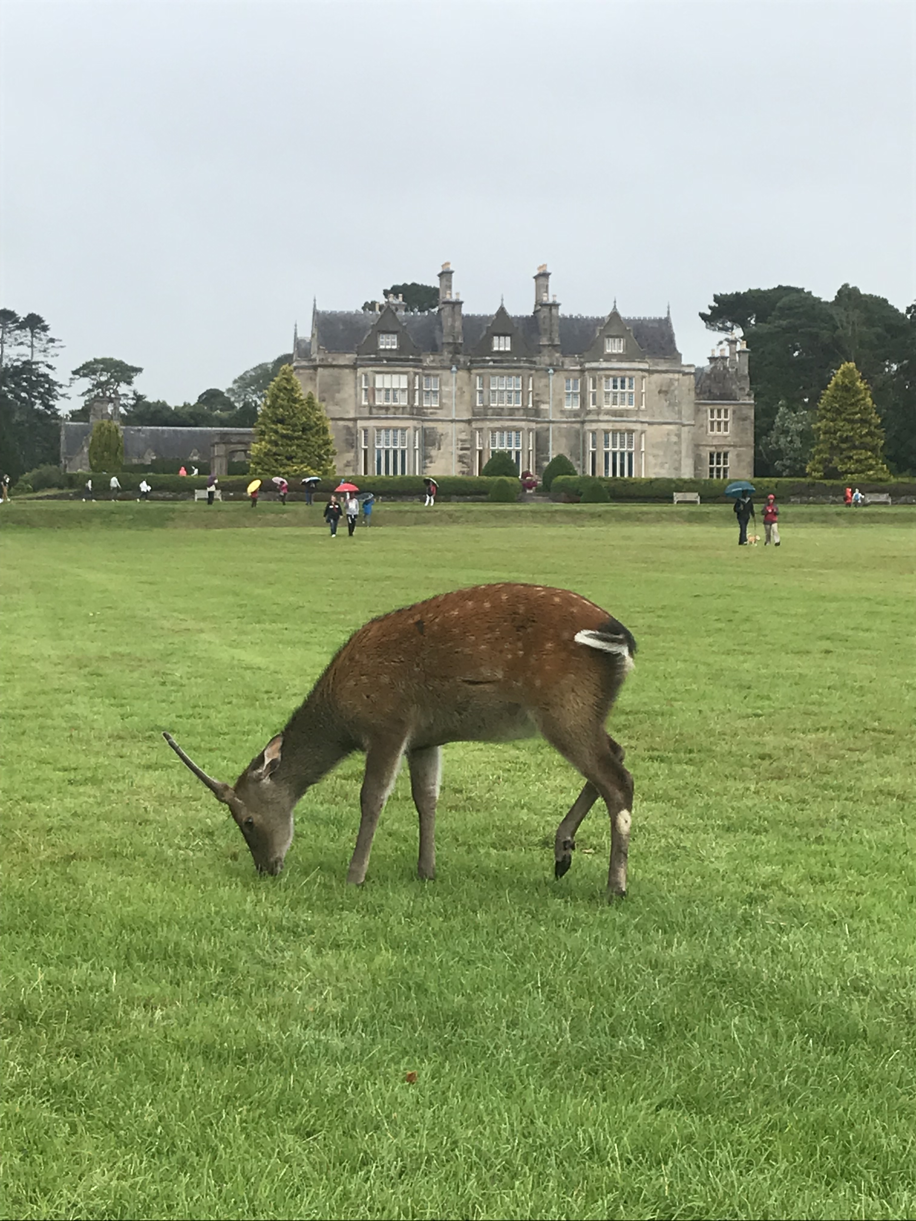 25C79678-0AE0-49F9-BD2F-448E9D187171