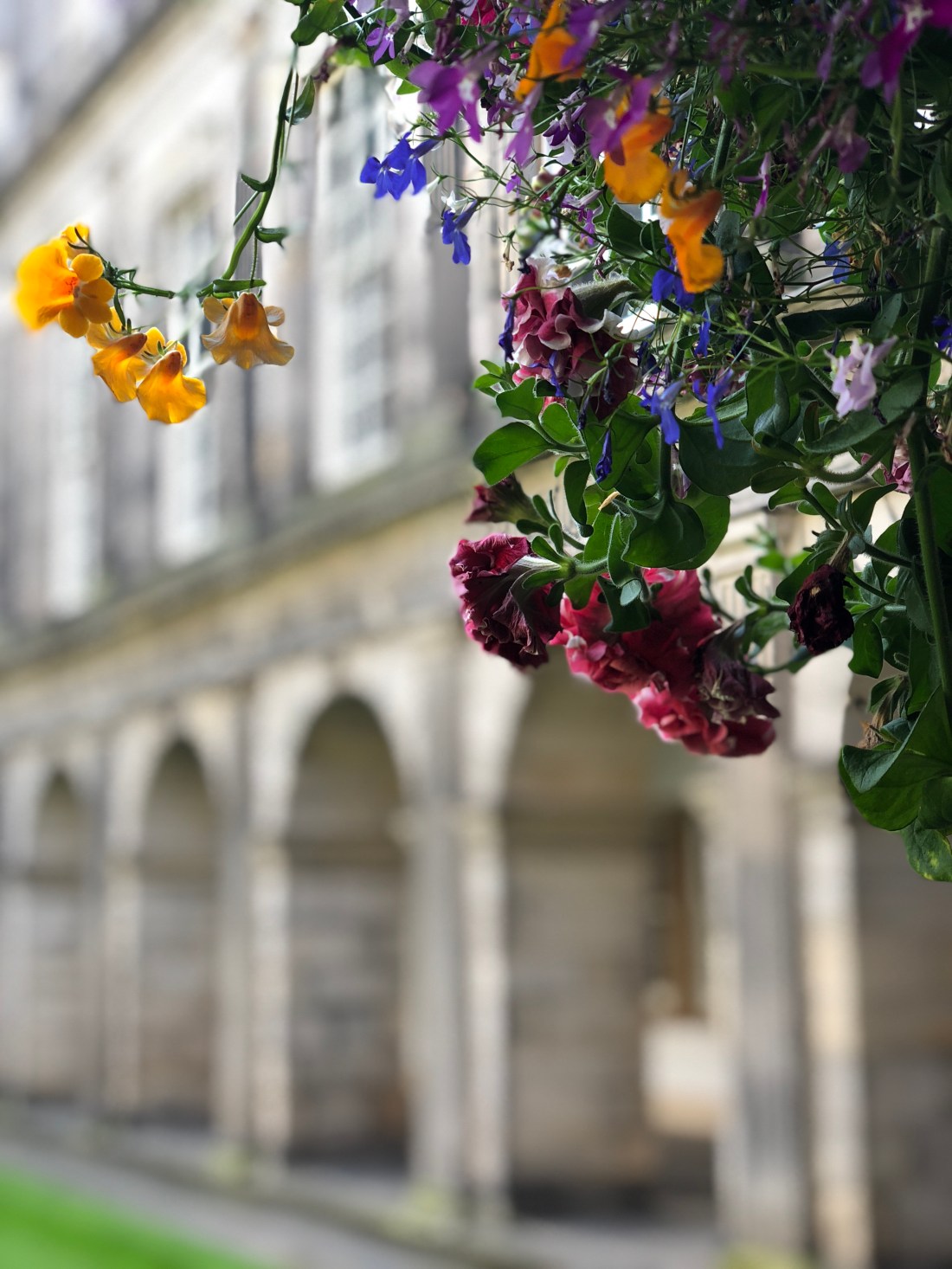 2E477368-8450-4971-9C02-95710E93FAA3