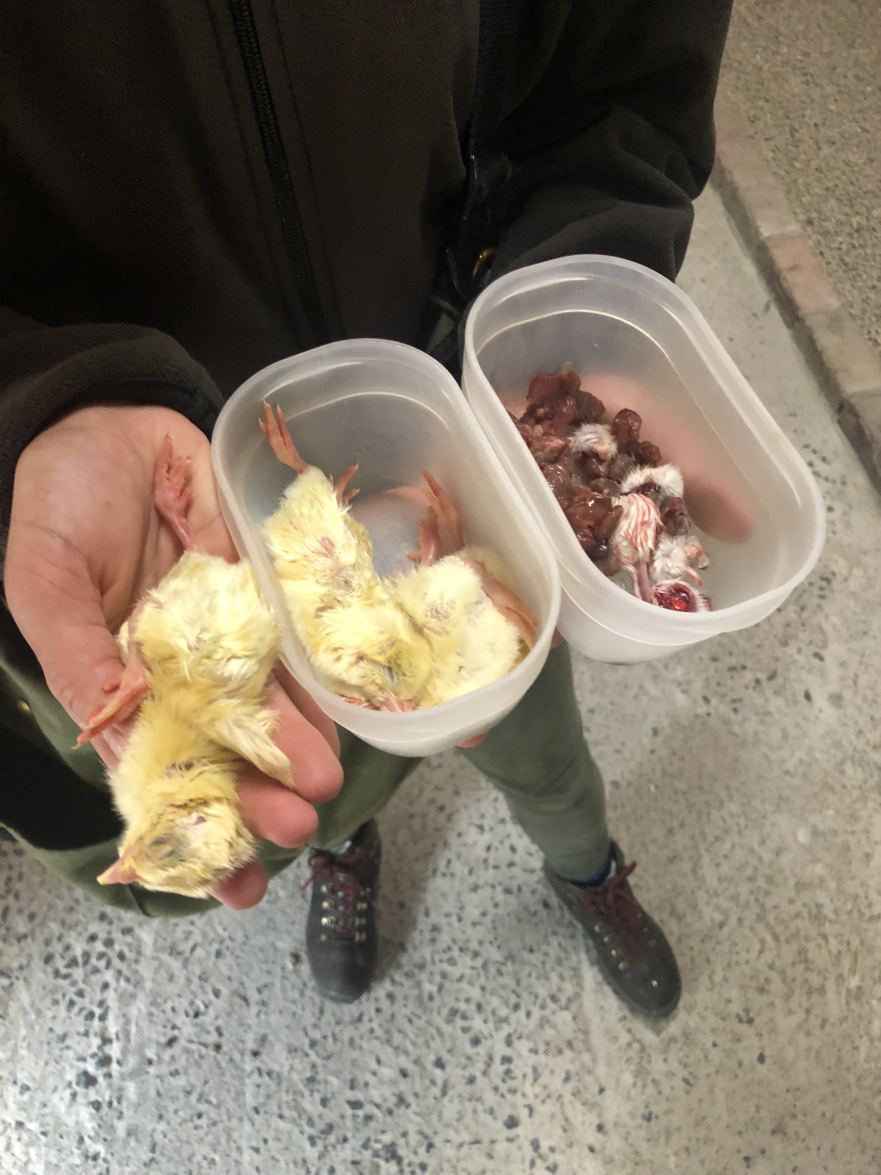 6FA43AAD-285D-4ED8-848A-46F09C3674F5