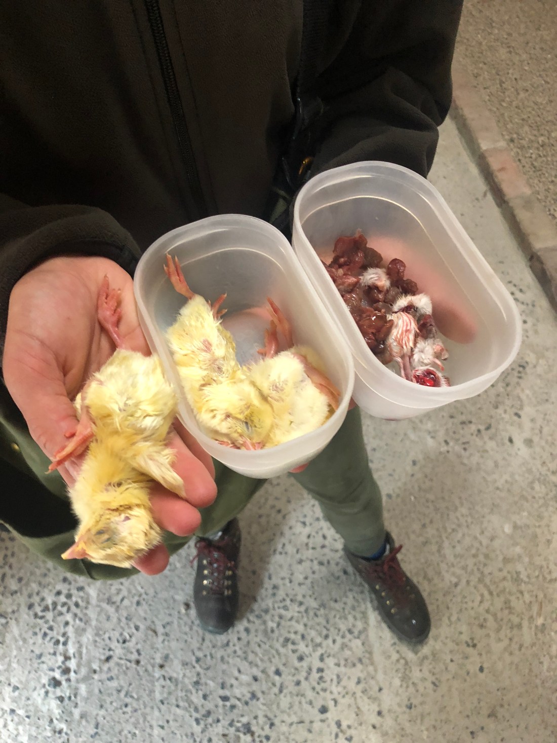 6FA43AAD-285D-4ED8-848A-46F09C3674F5