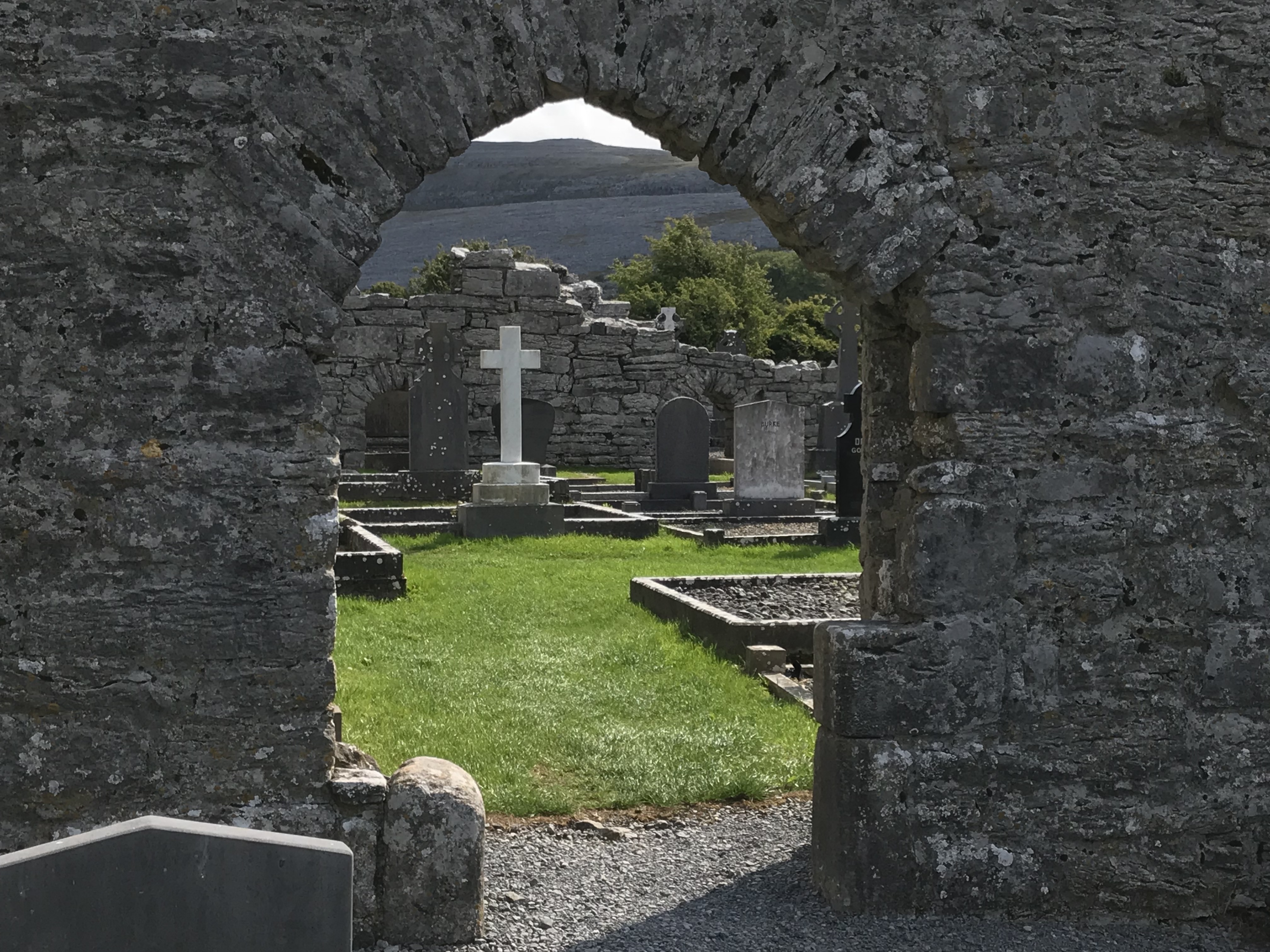 78C0CEF2-B36C-4401-B0D1-6B391992654E