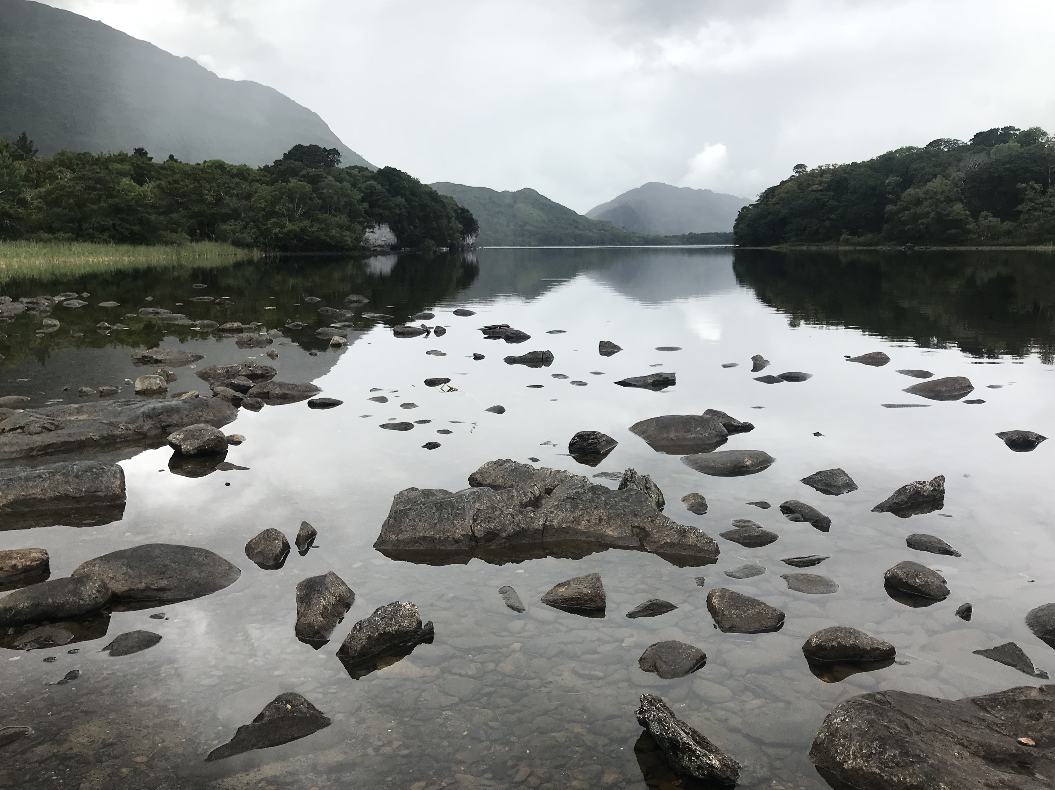 F272A841-43EE-4DCE-9696-9951BDCE31AB