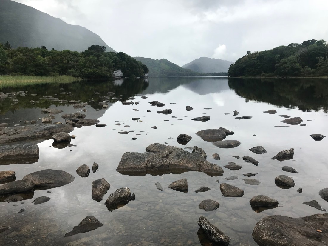 F272A841-43EE-4DCE-9696-9951BDCE31AB