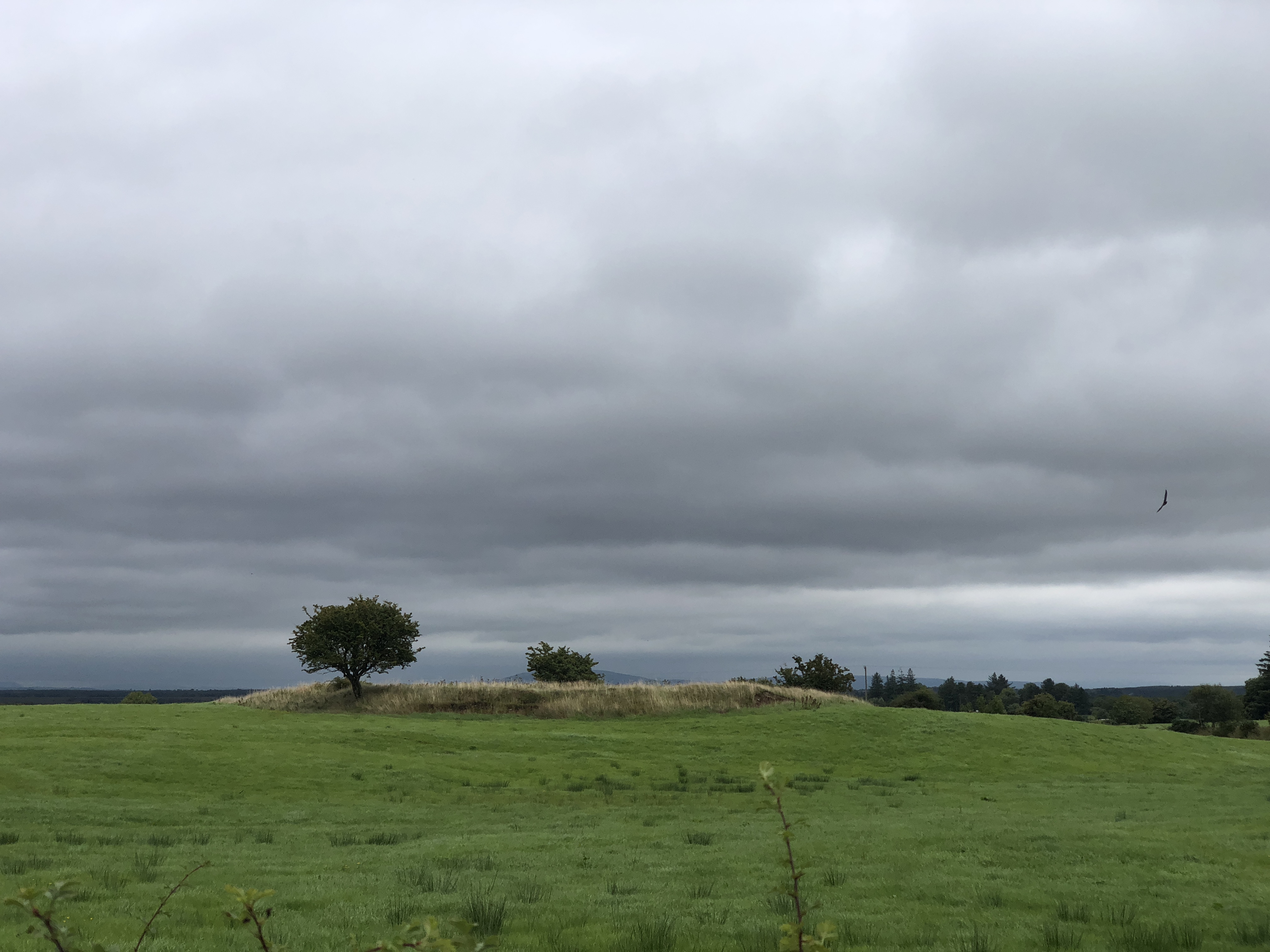 46DD1C4A-914A-4FA9-B6D5-38870DD4F3F2