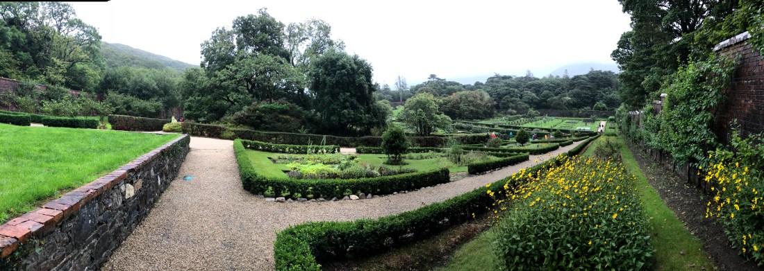 4C567E21-4A86-46D6-93C1-0E46B37FCDEF