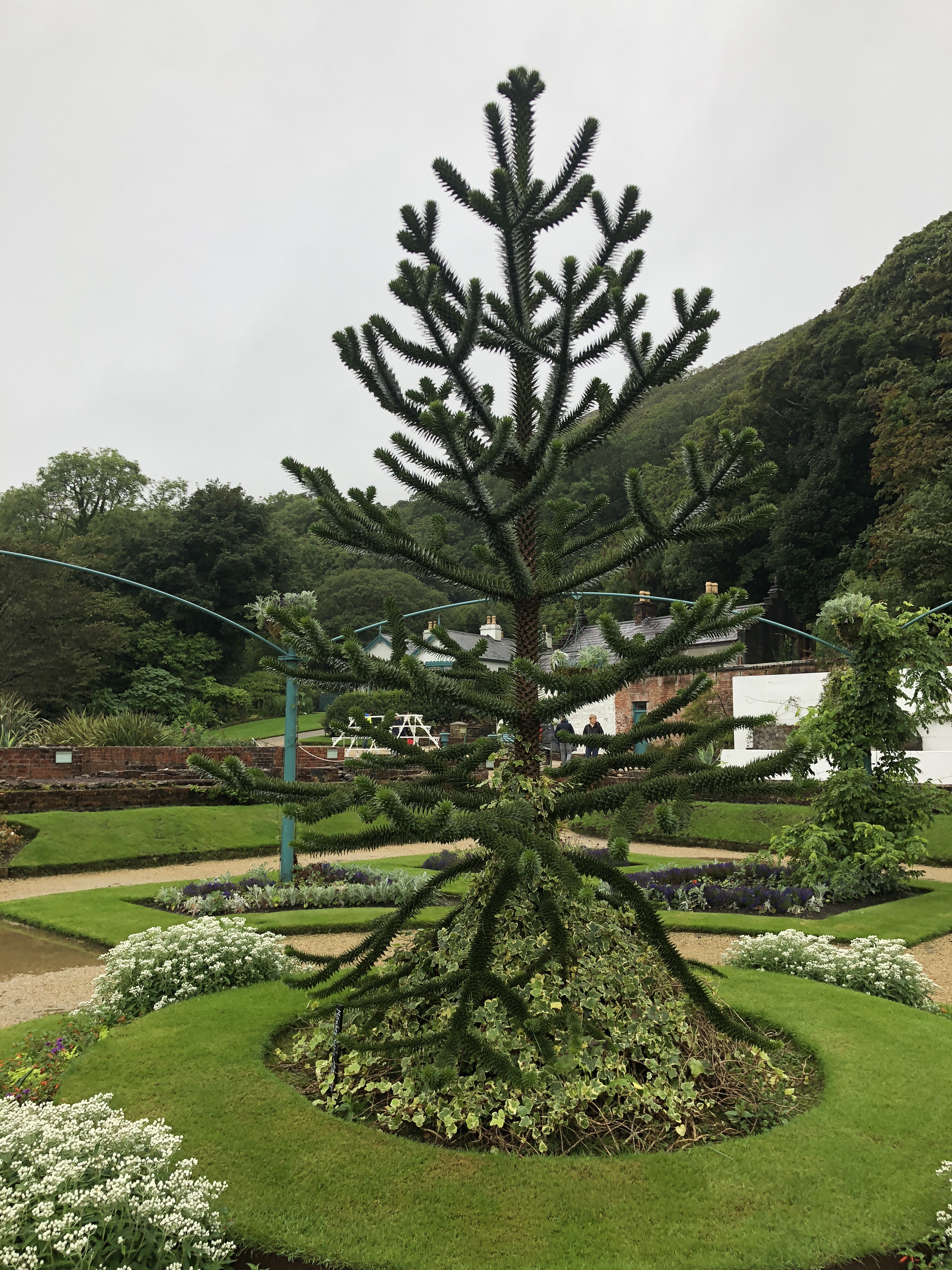 771EDF87-9770-43A4-9BEB-1533EFB7F4D5