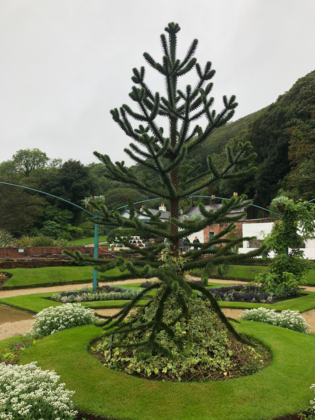 771EDF87-9770-43A4-9BEB-1533EFB7F4D5