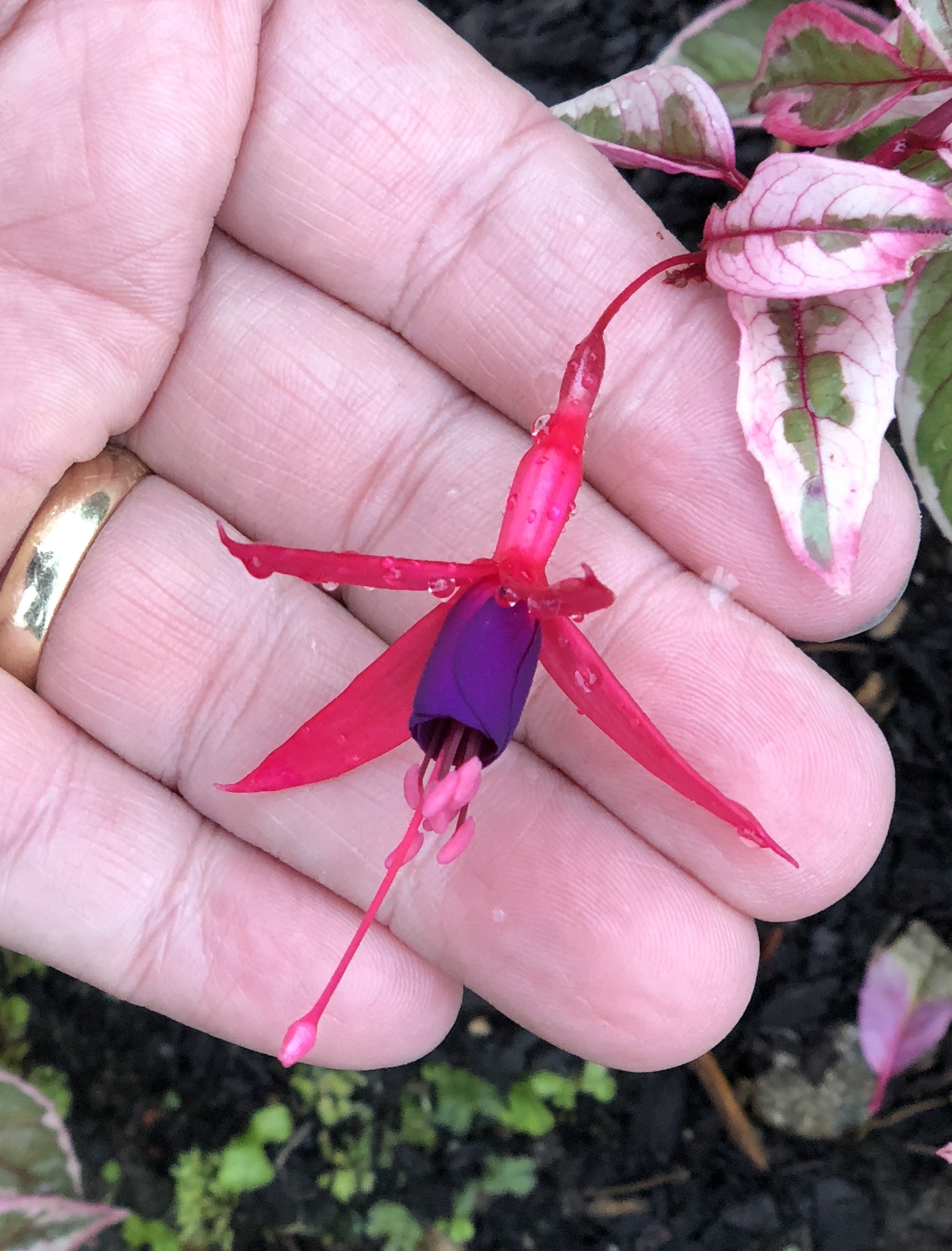 8A3A779B-B130-427F-83B5-3D206BD1616D