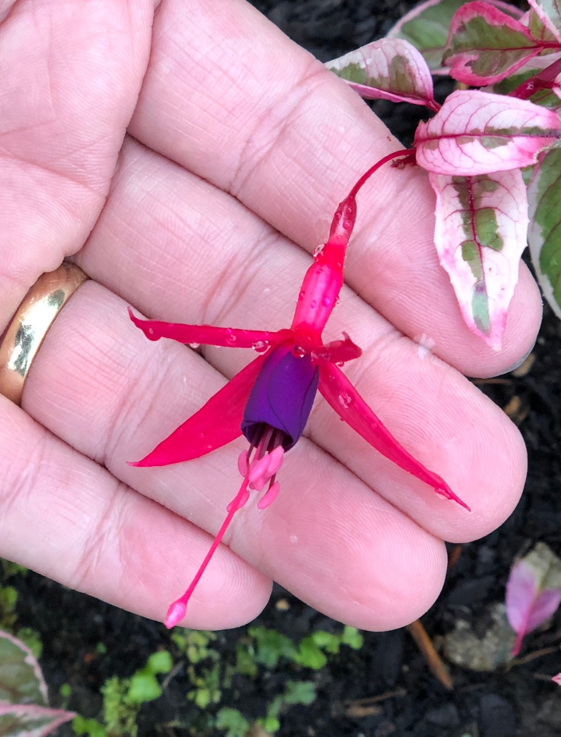 8A3A779B-B130-427F-83B5-3D206BD1616D