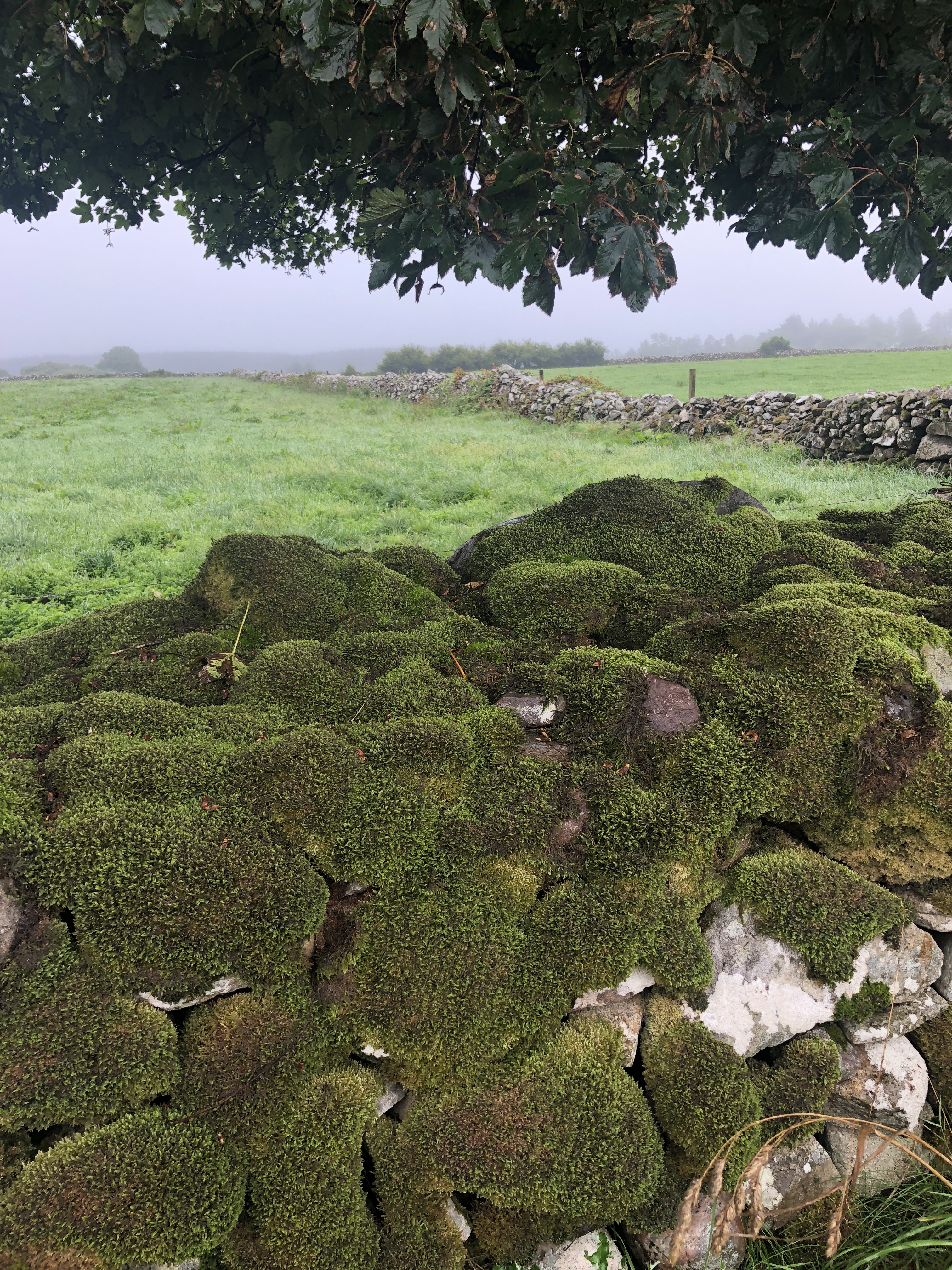 A3FA324A-051A-4868-BA27-0D81BD75A5ED