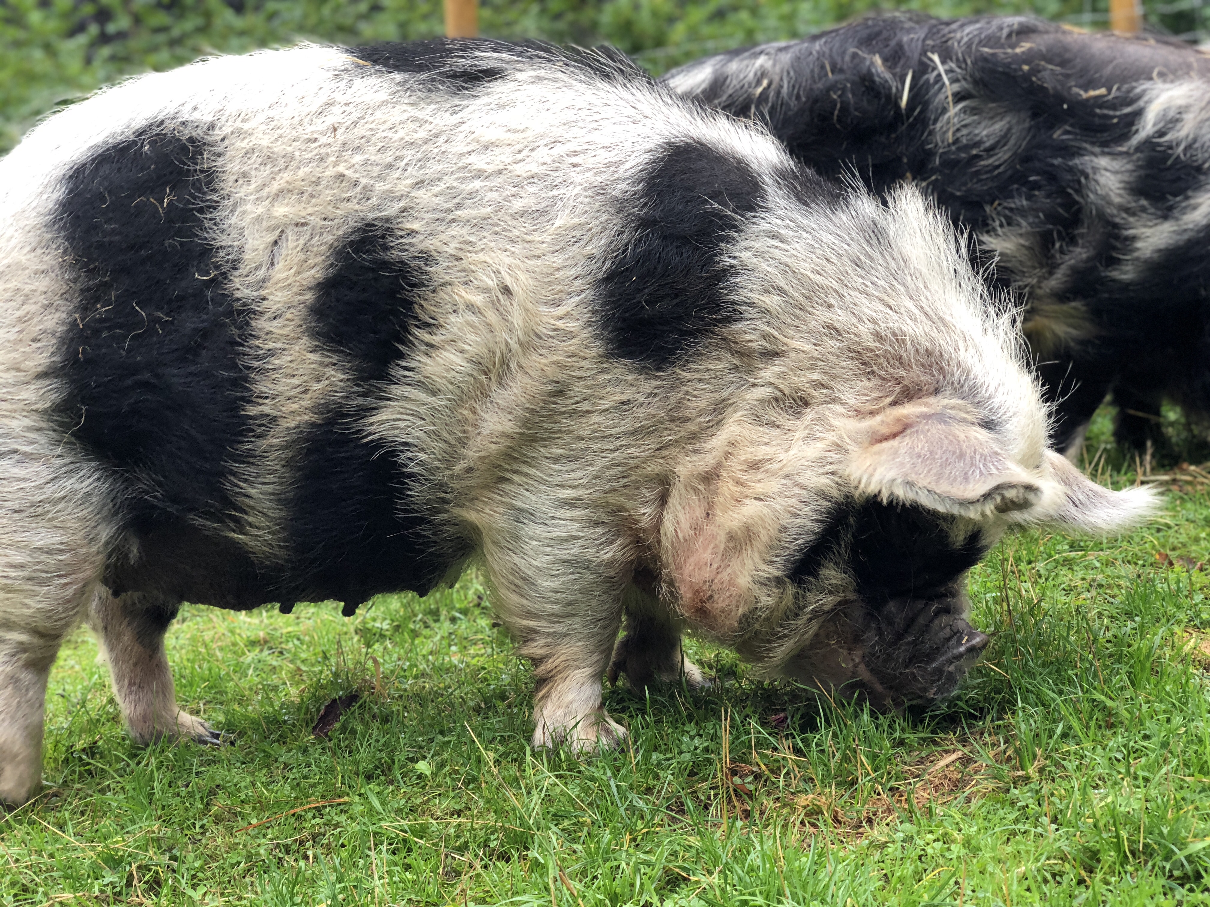 D551C707-0ABF-4393-A695-0CA543C686A3