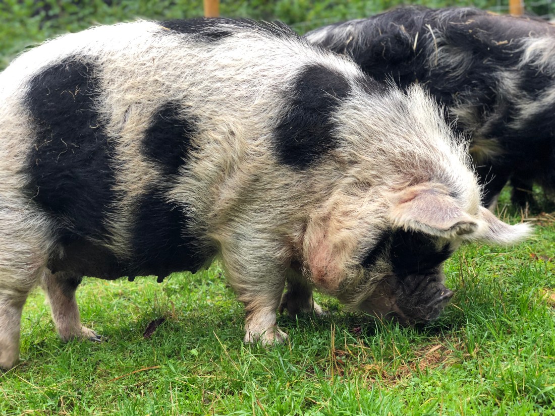 D551C707-0ABF-4393-A695-0CA543C686A3