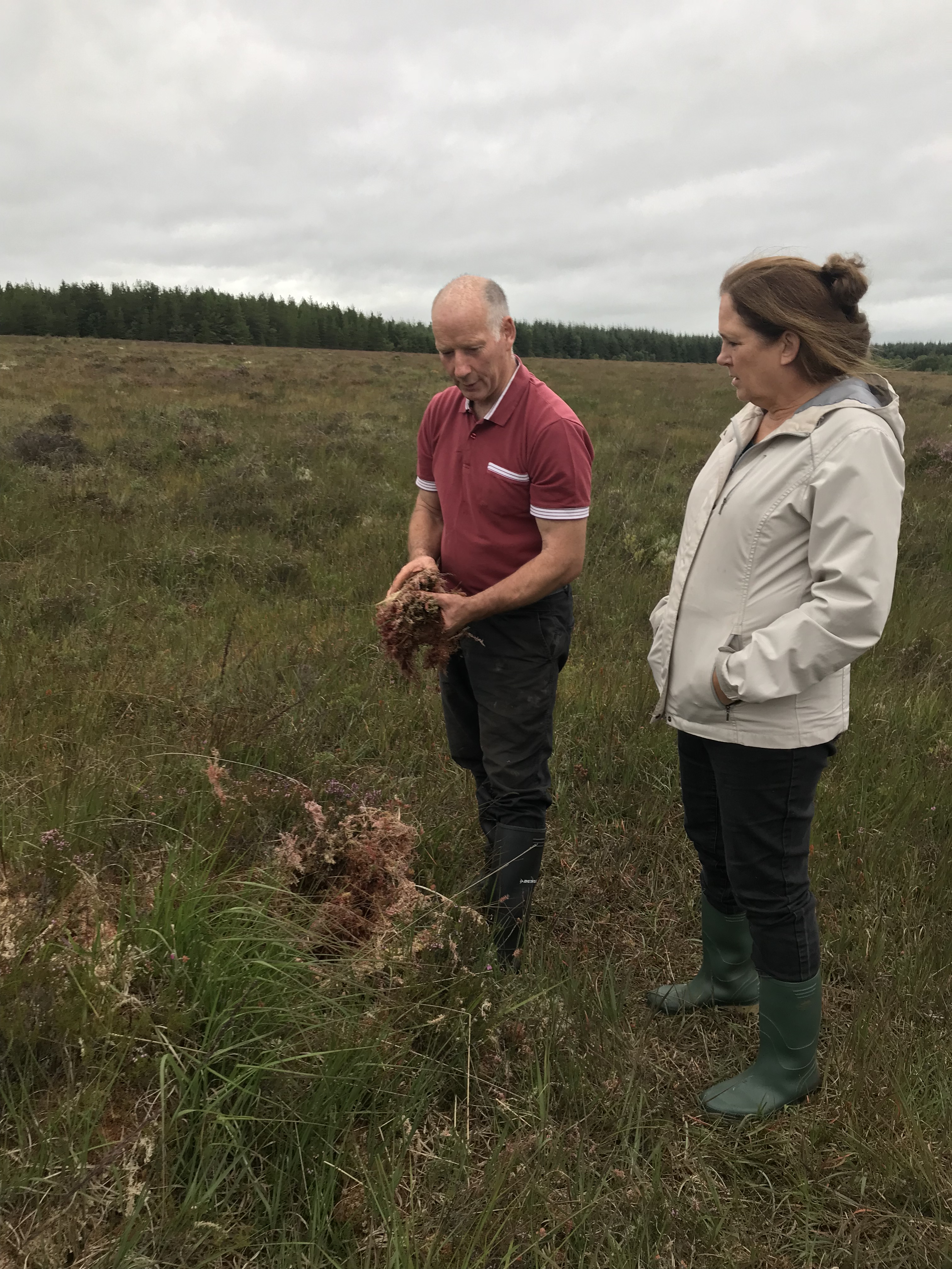 EC812D93-8A8B-482B-8BFF-4A1808E298C0